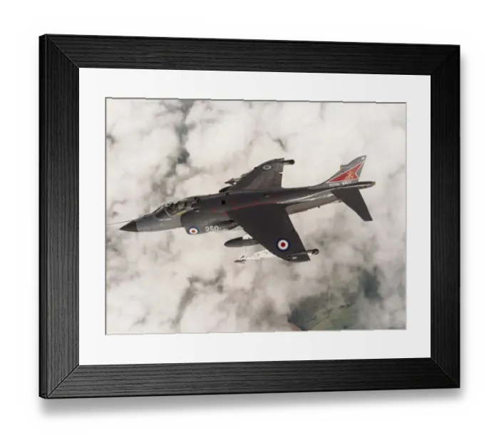 Framed Print : BAE Sea Harrier FRS-1 Framed Print : BAE Sea Harrier FRS-1