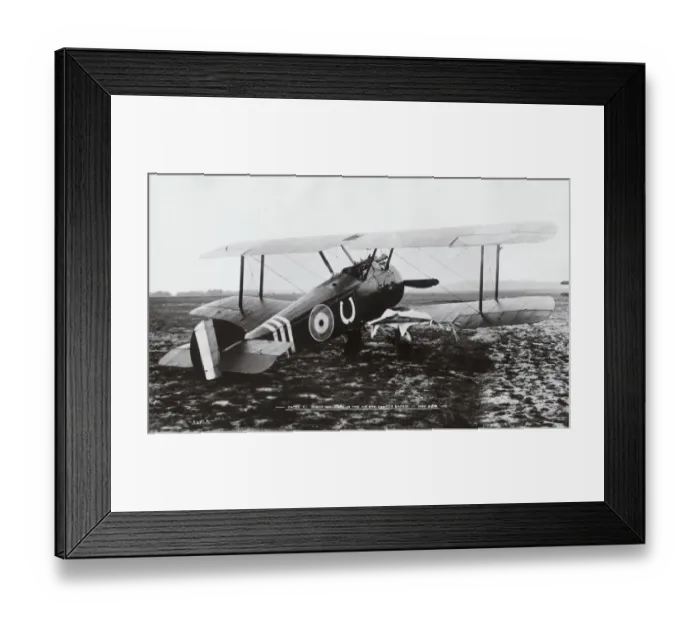 Framed Print : Sopwith Camel F-1 Framed Print : Sopwith Camel F-1