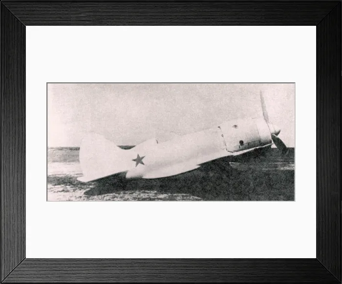 Framed Print : Polikarpov I-180-2 Framed Print : Polikarpov I-180-2