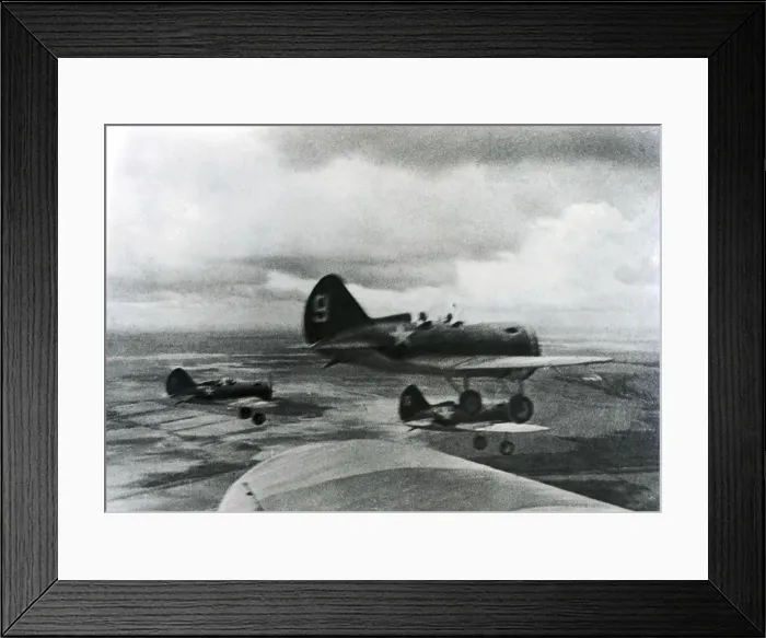 Framed Print : Polikarpov I-16 Rata Framed Print : Polikarpov I-16 Rata