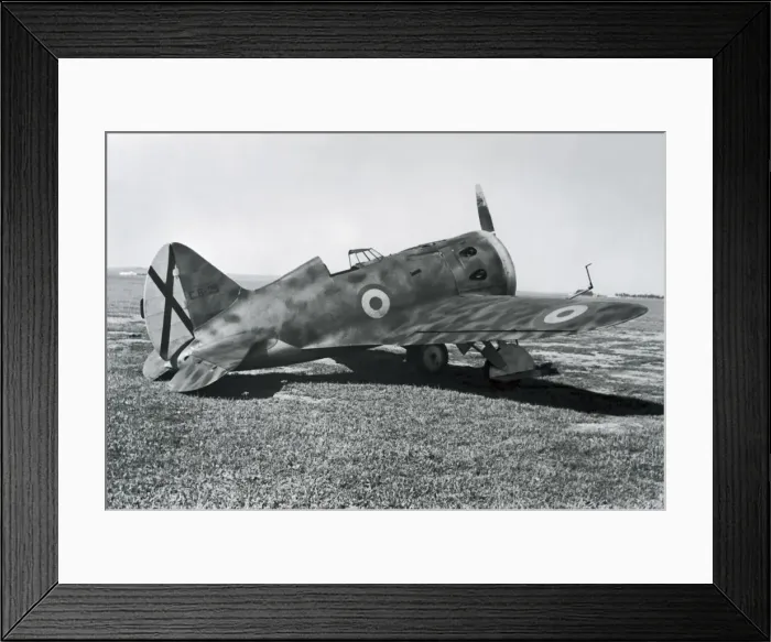Framed Print : Polikarpov I-16 Rata Framed Print : Polikarpov I-16 Rata