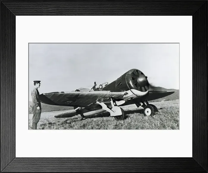 Framed Print : Polikarpov I-16 Rata Framed Print : Polikarpov I-16 Rata