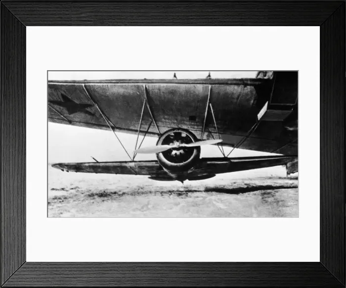 Framed Print : Polikarpov I-16 Rata Framed Print : Polikarpov I-16 Rata