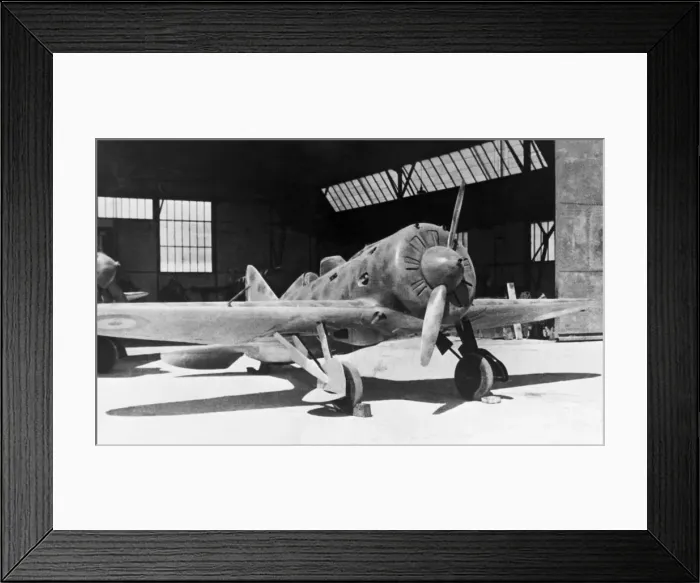Framed Print : Polikarpov I-16 Rata Framed Print : Polikarpov I-16 Rata