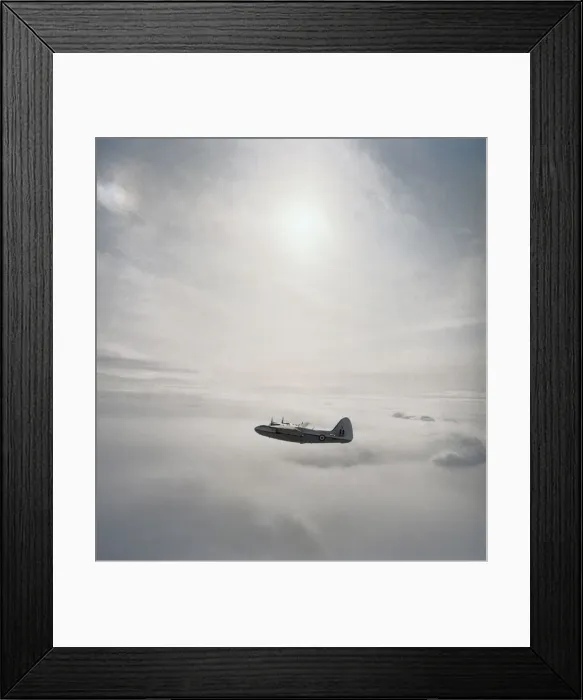 Framed Print : Percival P-66 Pembroke C-1 Framed Print : Percival P-66 Pembroke C-1