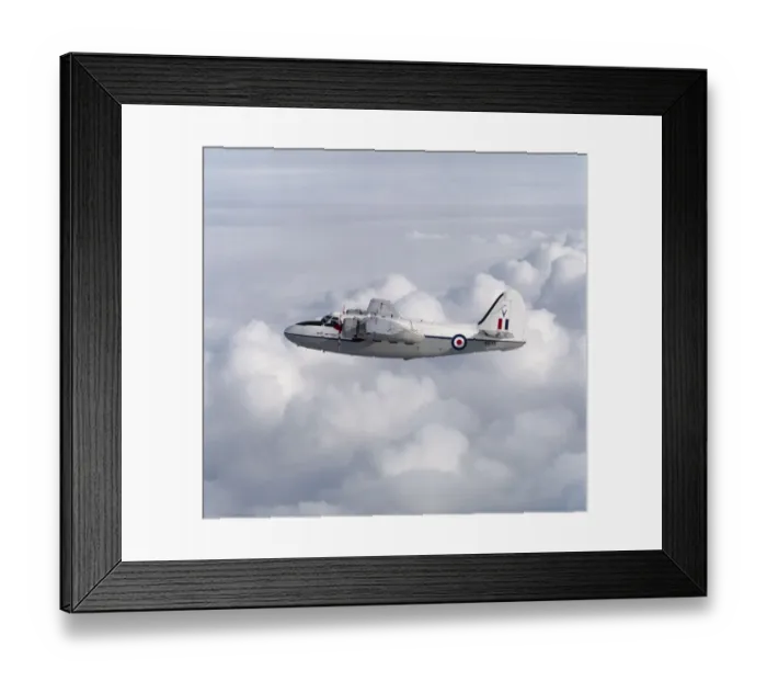 Framed Print : Percival P-66 Pembroke C-1 Framed Print : Percival P-66 Pembroke C-1