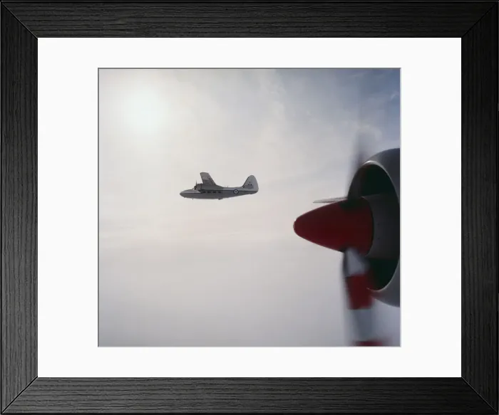 Framed Print : Percival P-66 Pembroke C-1
