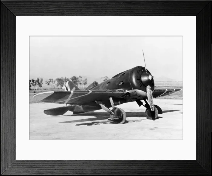 Framed Print : Polikarpov I-16 Rata Framed Print : Polikarpov I-16 Rata