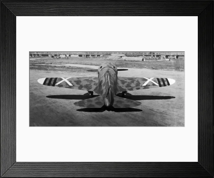Framed Print : Polikarpov I-16 Rata Framed Print : Polikarpov I-16 Rata