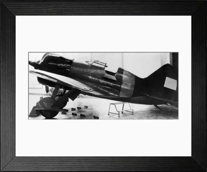 Framed Print : Polikarpov I-16 Rata Framed Print : Polikarpov I-16 Rata