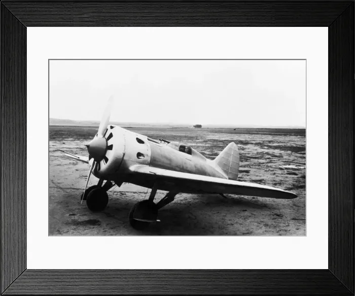 Framed Print : Polikarpov I-16 Rata Framed Print : Polikarpov I-16 Rata