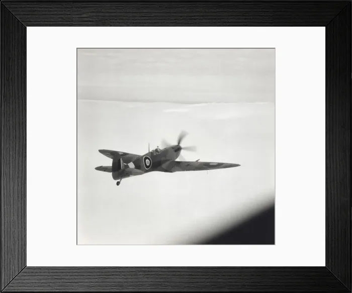 Framed Print : Supermarine Spitfire 9 / IX Framed Print : Supermarine Spitfire 9 / IX