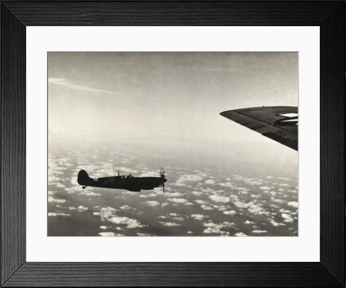 Framed Print : Supermarine Spitfire 9 / IX Framed Print : Supermarine Spitfire 9 / IX