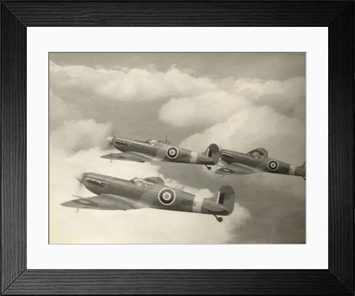 Framed Print : Supermarine Spitfire 5 / V Framed Print : Supermarine Spitfire 5 / V
