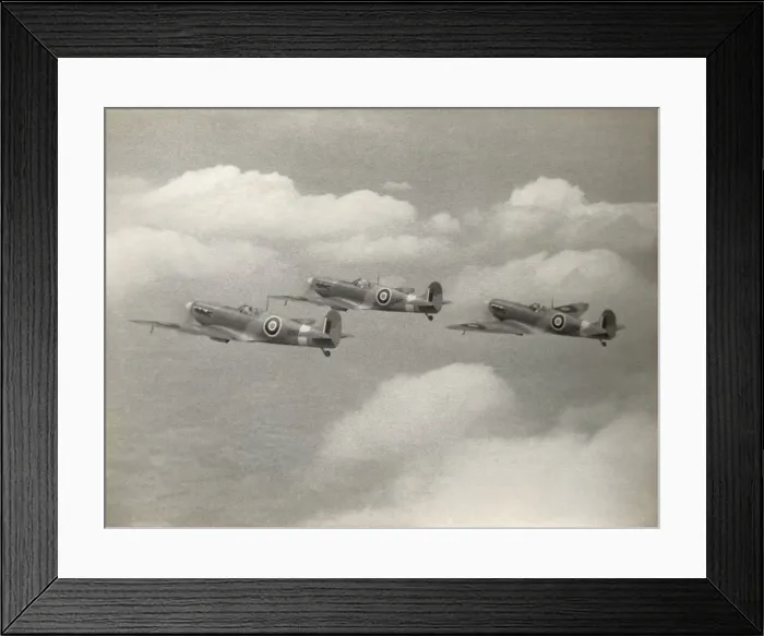 Framed Print : Supermarine Spitfire 5 / V Framed Print : Supermarine Spitfire 5 / V