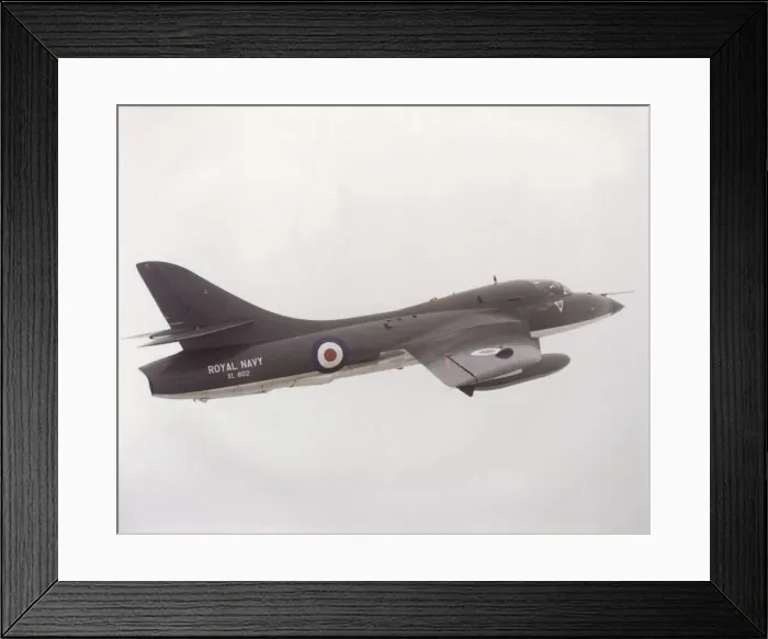 Framed Print : Hawker Hunter T-8M Framed Print : Hawker Hunter T-8M
