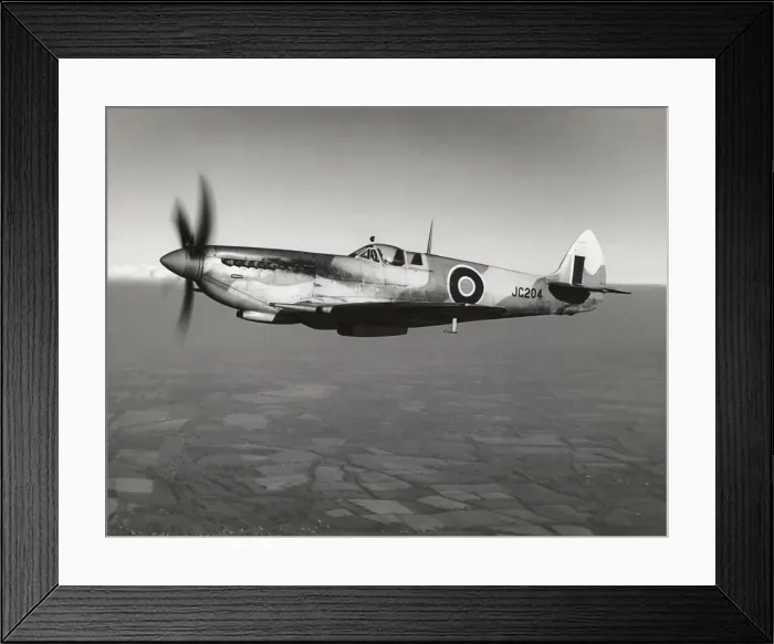Framed Print : Supermarine Spitfire 8 / VIII Framed Print : Supermarine Spitfire 8 / VIII