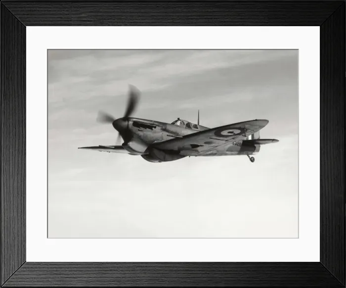Framed Print : Supermarine Spitfire 5C / VC Framed Print : Supermarine Spitfire 5C / VC