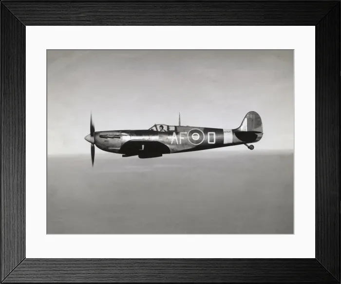 Framed Print : Supermarine Spitfire 5B / VB Framed Print : Supermarine Spitfire 5B / VB