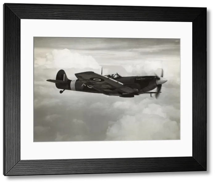 Framed Print : Supermarine Spitfire 5B / VB Framed Print : Supermarine Spitfire 5B / VB
