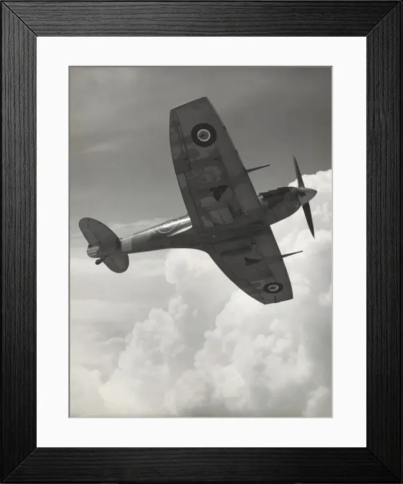 Framed Print : Supermarine Spitfire LF-5B / LF-VB Framed Print : Supermarine Spitfire LF-5B / LF-VB