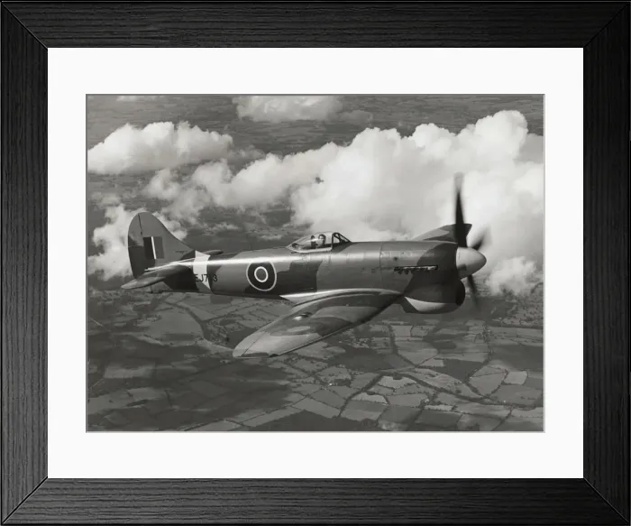 Framed Print : Hawker Tempest 5 Framed Print : Hawker Tempest 5