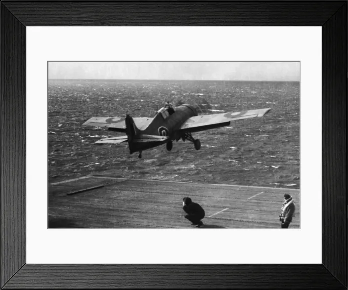 Framed Print : Grumman Wildcat Framed Print : Grumman Wildcat