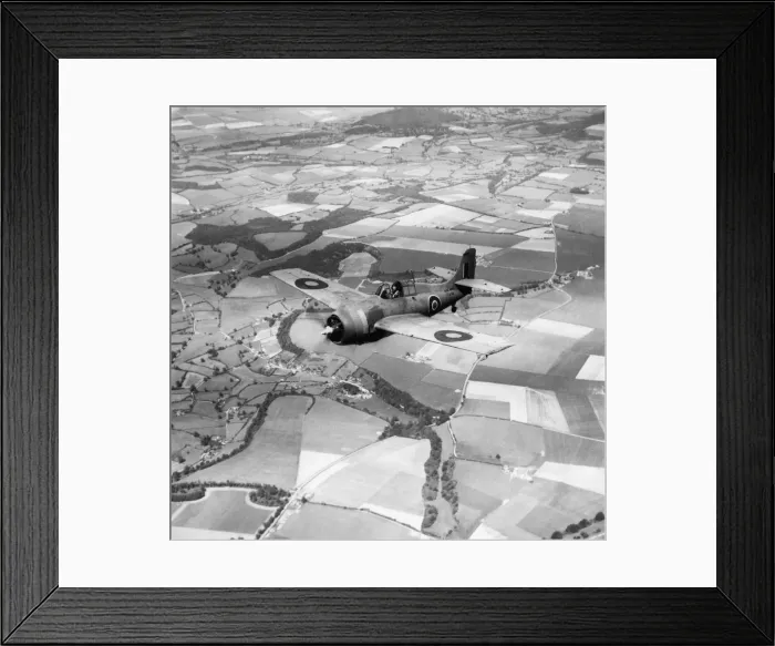 Framed Print : Grumman Wildcat Framed Print : Grumman Wildcat