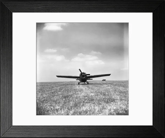 Framed Print : Grumman Wildcat Framed Print : Grumman Wildcat