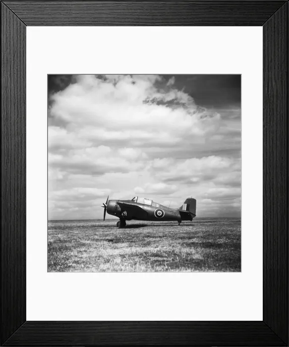 Framed Print : Grumman Wildcat Framed Print : Grumman Wildcat