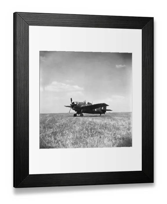 Framed Print : Grumman Wildcat Framed Print : Grumman Wildcat