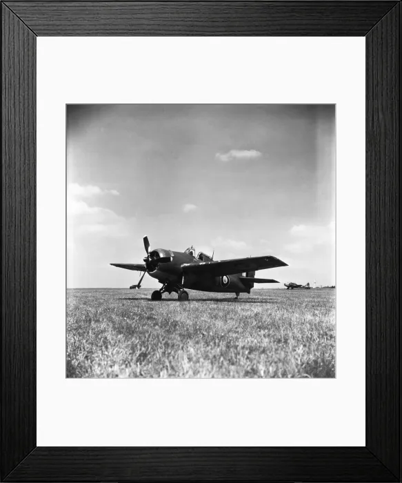 Framed Print : Grumman Wildcat Framed Print : Grumman Wildcat
