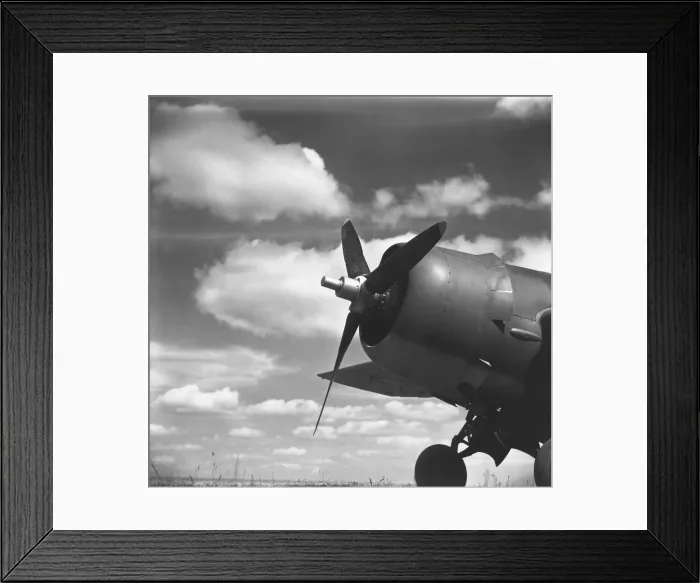 Framed Print : Grumman Wildcat Framed Print : Grumman Wildcat