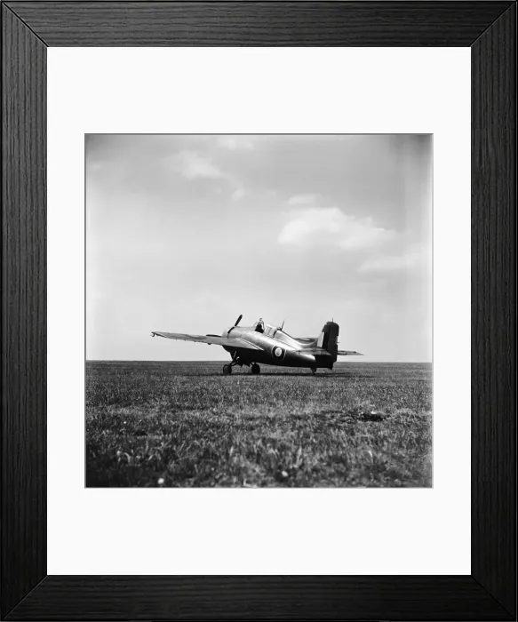 Framed Print : Grumman Wildcat Framed Print : Grumman Wildcat