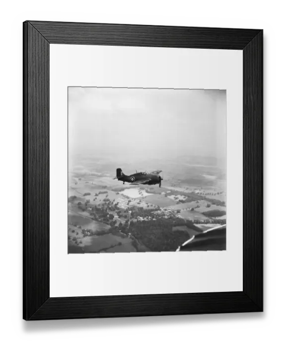 Framed Print : Grumman Wildcat Framed Print : Grumman Wildcat