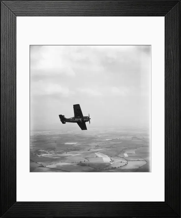 Framed Print : Grumman Wildcat Framed Print : Grumman Wildcat