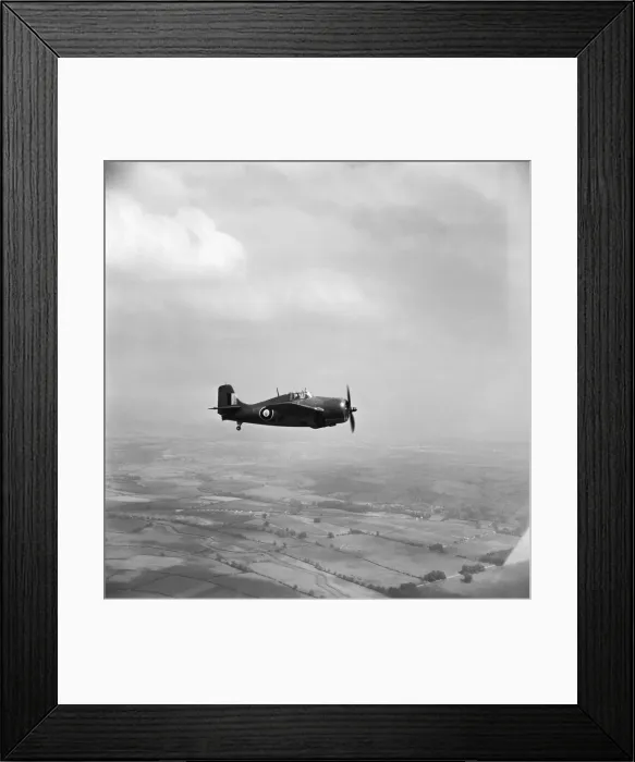 Framed Print : Grumman Wildcat Framed Print : Grumman Wildcat