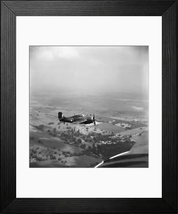 Framed Print : Grumman Wildcat Framed Print : Grumman Wildcat