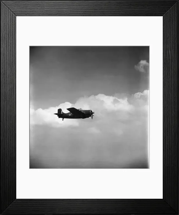 Framed Print : Grumman Wildcat Framed Print : Grumman Wildcat