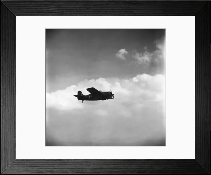 Framed Print : Grumman Wildcat Framed Print : Grumman Wildcat
