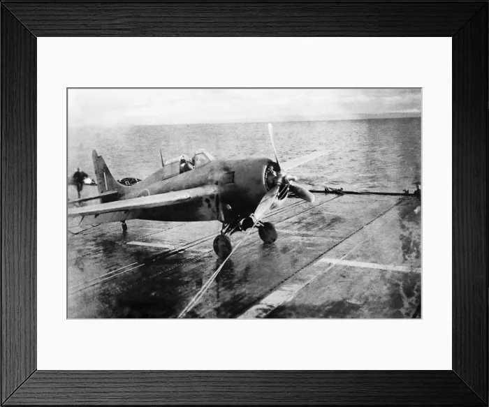 Framed Print : Grumman Wildcat Framed Print : Grumman Wildcat