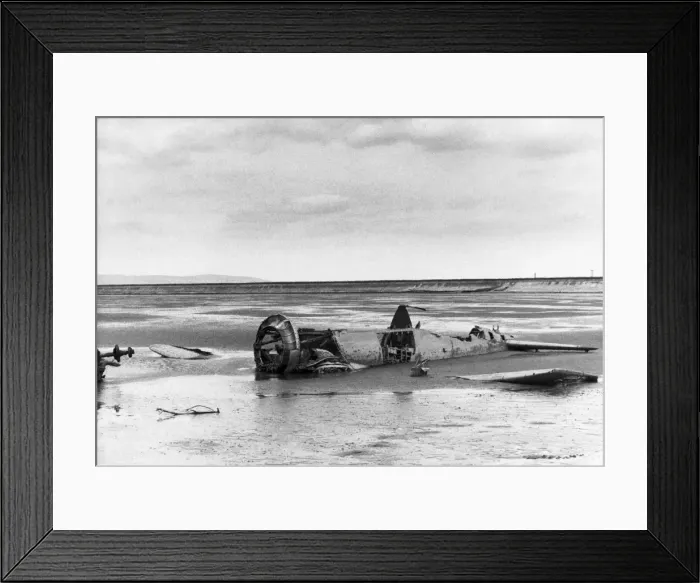 Framed Print : Grumman Wildcat Framed Print : Grumman Wildcat