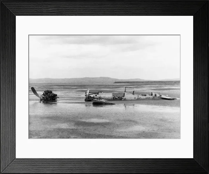Framed Print : Grumman Wildcat Framed Print : Grumman Wildcat