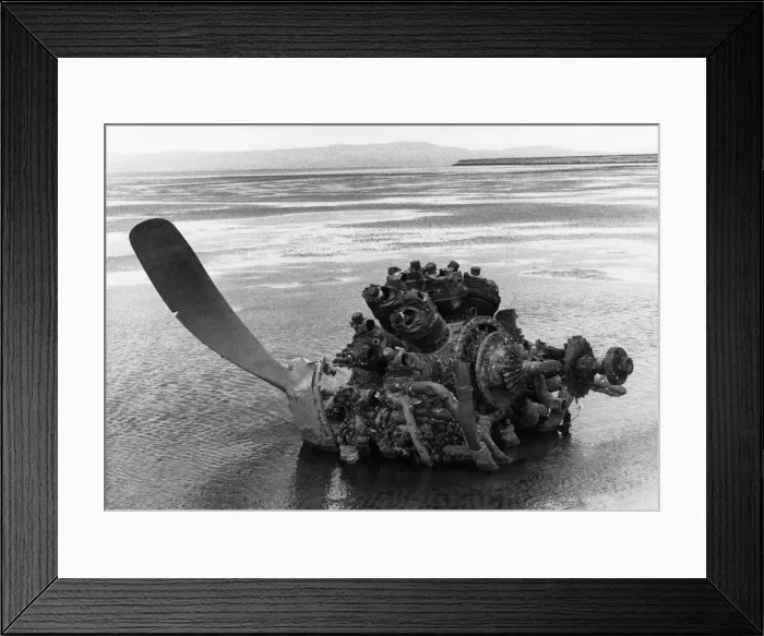 Framed Print : Grumman Wildcat Framed Print : Grumman Wildcat