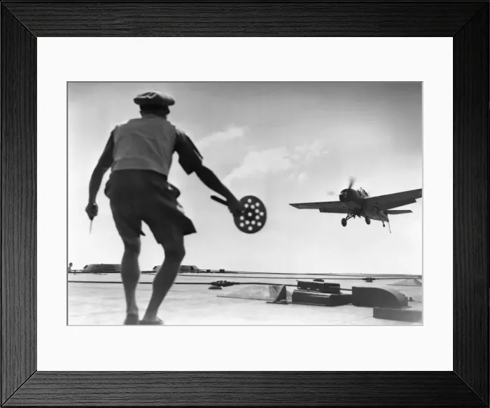 Framed Print : Grumman Wildcat Framed Print : Grumman Wildcat