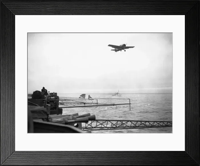 Framed Print : Grumman Wildcat Framed Print : Grumman Wildcat