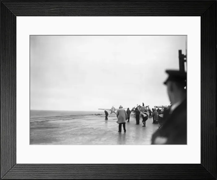 Framed Print : Grumman Wildcat Framed Print : Grumman Wildcat