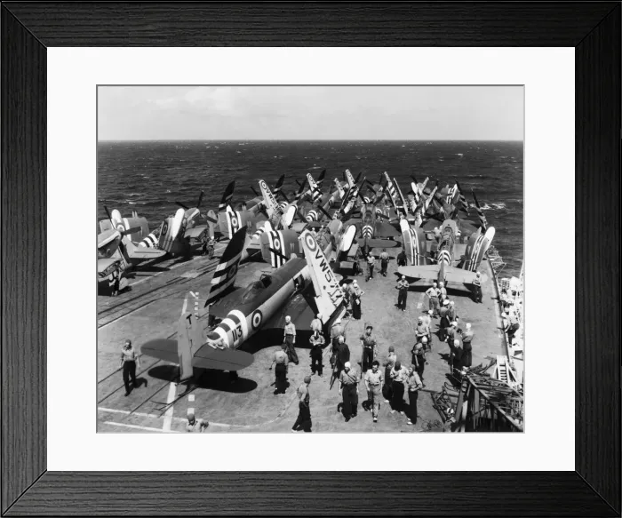 Framed Print : Hawker Sea Fury Framed Print : Hawker Sea Fury