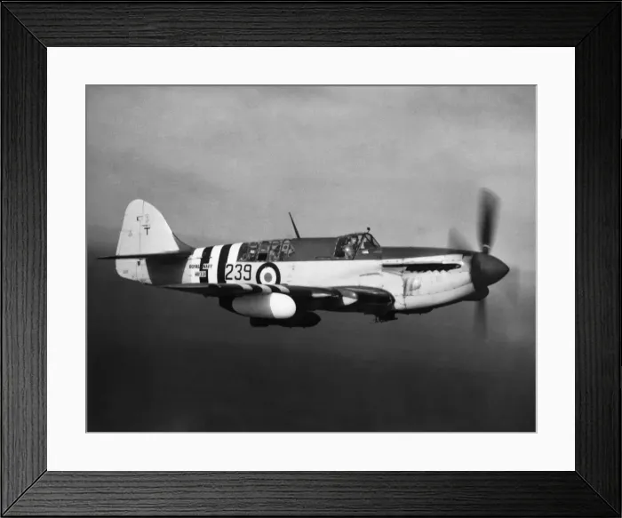 Framed Print : Fairey Firefly Framed Print : Fairey Firefly
