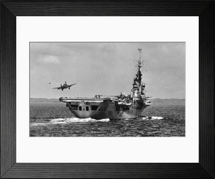 Framed Print : Fairey Firefly Framed Print : Fairey Firefly